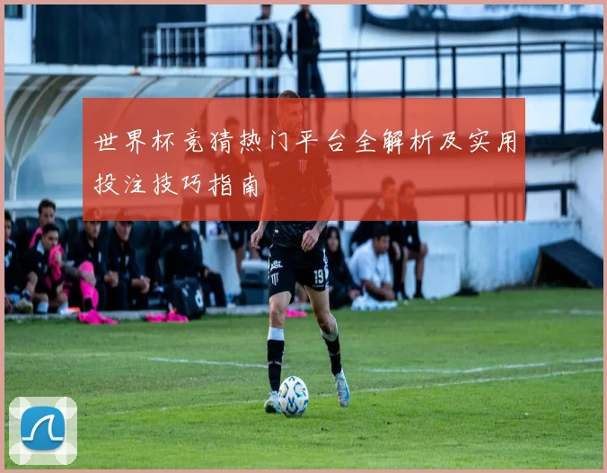 世界杯竞猜热门平台全解析及实用投注技巧指南