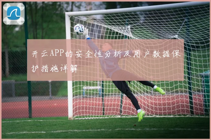 开云APP的安全性分析及用户数据保护措施详解